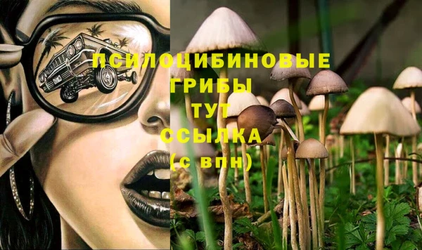 гашишное масло Покровск
