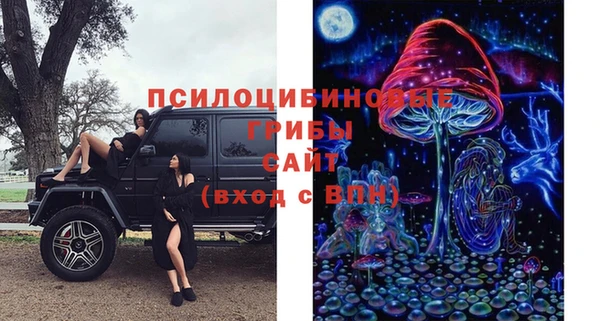 молекула духа Пестово