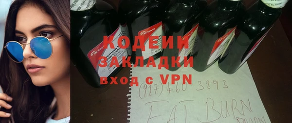 молекула духа Пестово