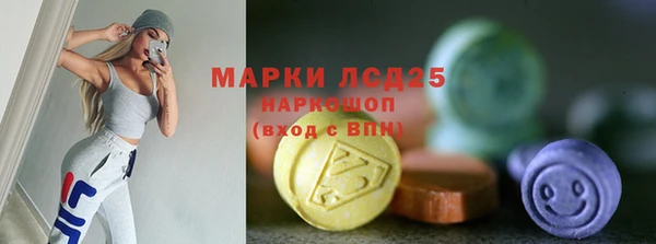 молекула духа Пестово