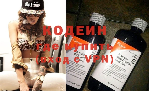 молекула духа Пестово