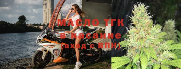 молекула духа Пестово