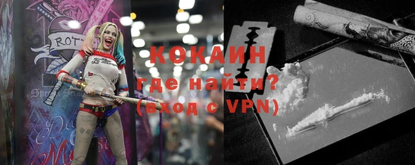 молекула духа Пестово