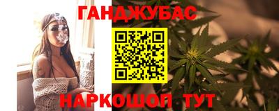 шишки Заводоуковск