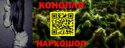 шишки Заводоуковск