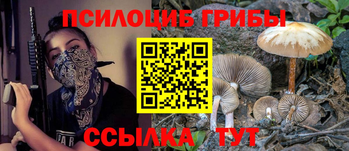 Соликамск  Галлюциногенные грибы MAGIC MUSHROOMS  Вход с VPN  дарнет шоп  Псилоцибиновые грибы мухоморы 