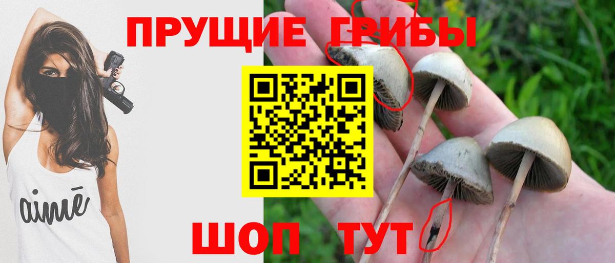 Галлюциногенные грибы MAGIC MUSHROOMS Соликамск